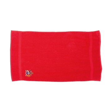 Aston University - Luxury Range Bath Towel - Red