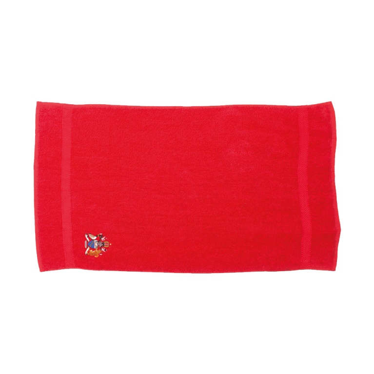 Aston University - Luxury Range Bath Towel - Red